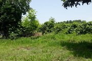 خانه ویلایی دو خواب مبله در صومعه سرا