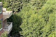 واحد تکخواب مبله سویل جنگلی  در طرقبه و شاندیز