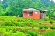 ویلا تکخواب جنگلی آریا در شیرگاه