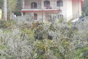 واحد مبله دوخواب طبقه اول ویلا جنگلی در سوادکوه