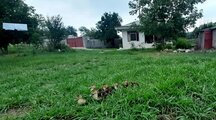 ویلا باغ خاطره درروستای میرمحله ماسال