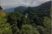 ویلا تک خواب مبله جنگلی در نور