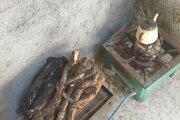 آپارتمان مبله دوخواب دهکده در سامان