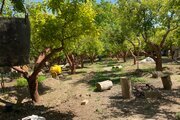باغ ویلا تکخواب رویایی در دماوند