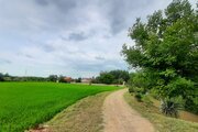 کلبه چوبی دوخواب دادرس در ماسال