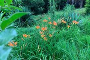 ویلای سه خواب تختی در متل قو