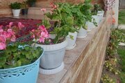 ویلای شادپور در ماسال