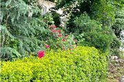 باغ ویلا دوبلکس استخردار در قائمشهر