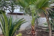 کلبه سوئیسی جکوزی دار بهشت پدری (1)