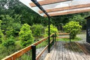 کلبه چوبی جنگلی در آمل