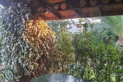 ویلا 3 خواب مبله ناهید در بندر انزلی
