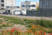 آپارتمان مبله تکخواب 3 در جلفا