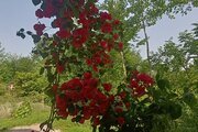 ویلا دوبلکس سه خواب سیکاج در ماسال