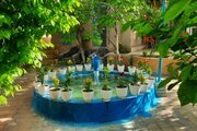 واحد تکخواب توت شمرونی در بومگردی برزک