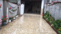 آپارتمان مبله دو خوابه یاس روستا خشت سر