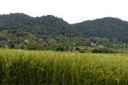 کلبه چوبی جنگلی تکخواب در ماسال