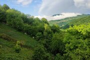 واحد تکخواب در طبقه اول ویلا دلباز در سوادکوه
