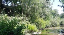 ویلا دوخواب در روستا گتگسر تالش