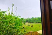 کلبه چوبی دوبلکس دوخواب در فومن