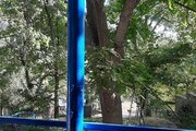 ویلا سنتی تکخواب  دوستی در الموت