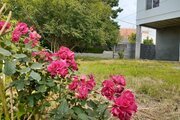 واحد دو خواب نور در طبقه همکف رویان