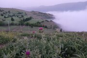 ویلا لوکس دوخواب گلها در رودبار
