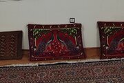 سوئیت در شیرگاه