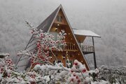 کلبه سوئیسی دوبلکس دوخواب گلزار در اسالم