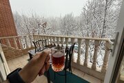 آپارتمان مبله تکخواب جنگلی نهال در طرقبه