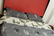 آپارتمان تکخواب موج سنگی در بوشهر