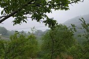 واحد طبقه همکف ویلا در ساری