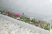 واحد تکخواب یونا در ویلای ساری
