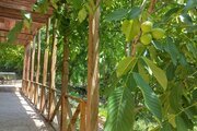 واحد تکخواب اوپرت 1 در اقامتگاه بومگردی درفینسک
