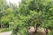 ویلا سه خواب 4 ستاره در ماسال