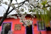 ویلا استخردار مبله دوخواب دورهمی در کردان