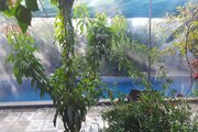 باغ ویلا استخردار دوخواب مبله سنوبر در دزفول