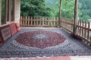 کلبه جنگلی مبله تکخواب در شیرگاه