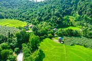 کلبه دوبلکس چوبی جنگلی تکخواب در تالش