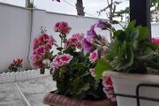 واحد تکخواب در طبقه دوم ویلا ساحلی حسینی در چالوس