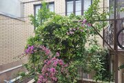 آپارتمان دوخواب در کاشان