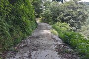 ویلا جنگلی تک خواب در اسالم