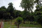 کلبه چوبی مبله دوخواب نارنج در ماسال