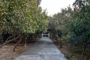 ویلا دو خواب استخردار سرپوشیده آبگرم در سرخرود