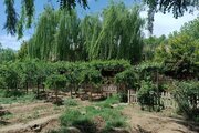 ویلا استخردار مبله  سه خواب  در ساوجبلاغ