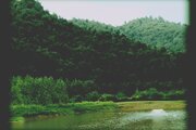 واحد دوخواب طبقه دوم ویلا جنگلی در ماسال