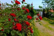واحد دو خواب افرا در طبقه اول ویلای لیسار
