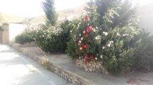 ویلا دو خواب ساوه
