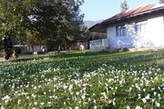 ویلا تکخواب روستایی طبیعت در ماسال