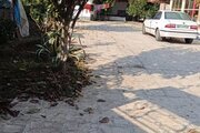 ویلا مبله تکخواب در رضوانشهر