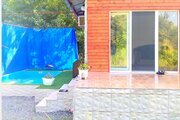 کلبه تک خواب استخردار کلاره در شیرگاه